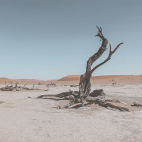 After Victory, the Desert