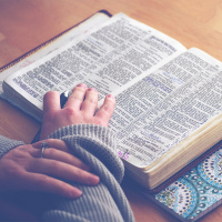 Gods Will in Gods Word