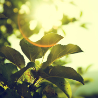 Strength for the Battle