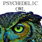 Psychedelic Owl