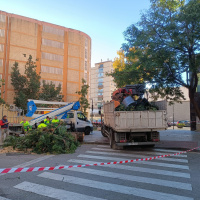 Era realmente peligroso F Romero, Solidaridad