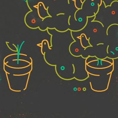 Kamasutra De La Innovación