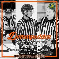 Domarpodden #18 Möter Katarina Timglas, Anna Hammar  Veronica Johansson