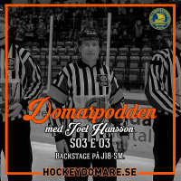 DomarPodden #15 JSM i Nyköping