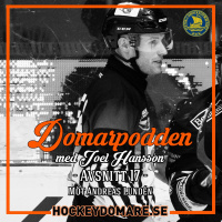 DomarPodden #17 Möter linjedomare Andreas Lundén som dömer i Hockeyallsvenskan