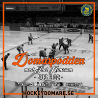 DomarPodden #14 Bakom kulisserna under finalen av Hockeyettan