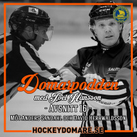 DomarPodden #16 Möter hockeyallsvenska domarna Herrwaldsson och Sandahl