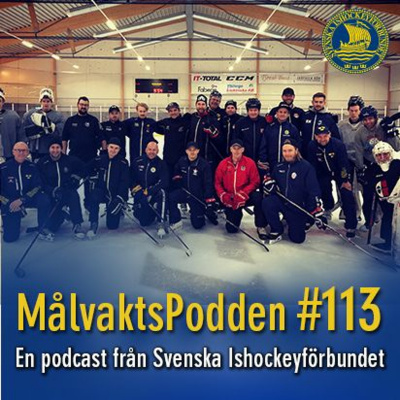 Svenska Ishockeyförbundet