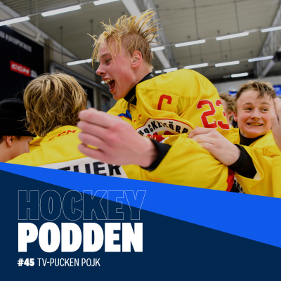 Svenska Ishockeyförbundet