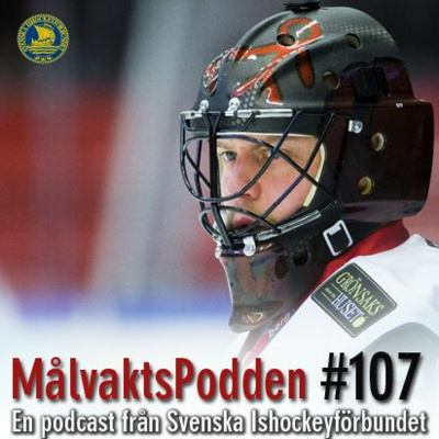 Svenska Ishockeyförbundet