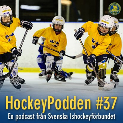 Svenska Ishockeyförbundet
