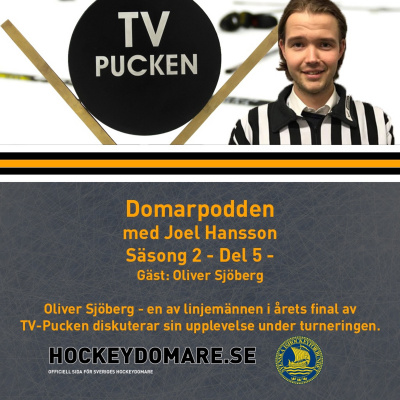 Svenska Ishockeyförbundet
