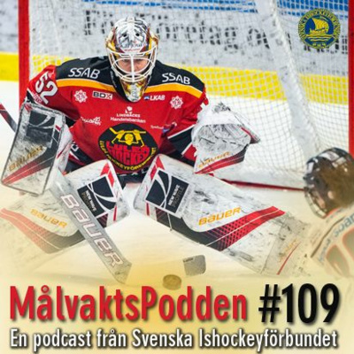 Svenska Ishockeyförbundet