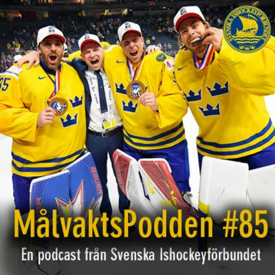 Svenska Ishockeyförbundet
