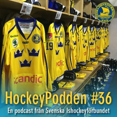 Svenska Ishockeyförbundet