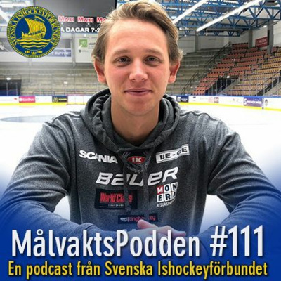 Svenska Ishockeyförbundet