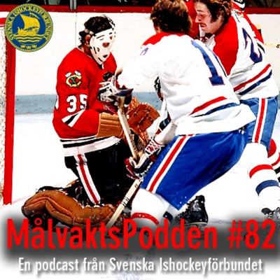 Svenska Ishockeyförbundet