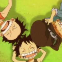 3D2Y (Resumen + Offtime)