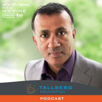 Mutually Assured Madness?