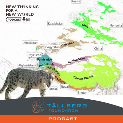 Tallberg Foundation Podcast