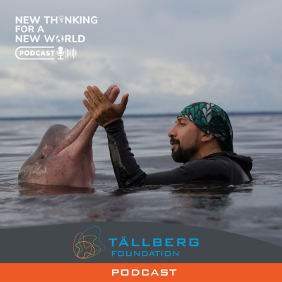 Tallberg Foundation Podcast