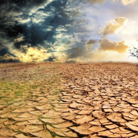 #91 Caos Climático: efeitos globais e ações locais - com Gabriel Dread