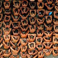 #115 Sistema Carcerário Brasileiro