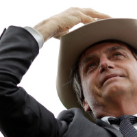 #114 O Rei do Gado - manifestações pró-governo