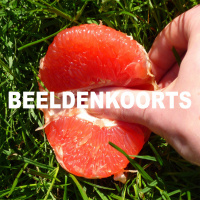 Aflevering 7 - Beeldenkoorts