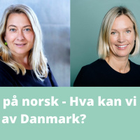 Tillitsreform på norsk – hva kan vi lære av Danmark?