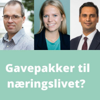 Gavepakker til næringslivet?