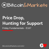 Price Drop, Hunting for Support - E167