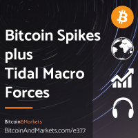 Bitcoin Spikes plus Tidal Macro Forces - E377