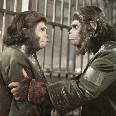 Movie Films With Bill And Steve