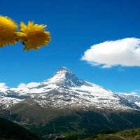 Vi reder ut det här med lågtyskan!