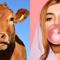 När språkliga fel blir nya sanningar