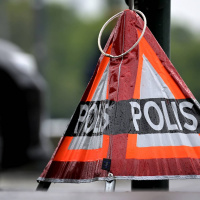 De + dem blir dom - om språkpolisens röda skynke