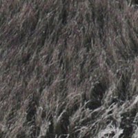 Branschspecifika ord – eller fluffig bullshit?