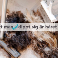 Svenskans exotiska harbortfall