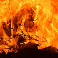 Ett helvetes jävla program