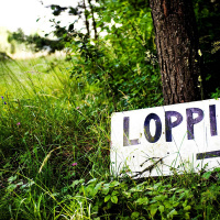 Loppa, loppade, loppat – kan man säga att man loppar när man går på loppmarknad?