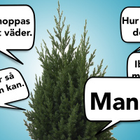 Varför säger man man istället för jag?