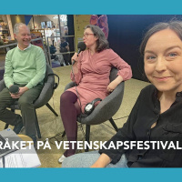 De, dem och dom, götaregeln och swisha