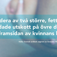 Hur definierar du ordet bröst?