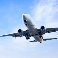 Ombudsman, smörgåsbord och flygskam – svenskan går på export!