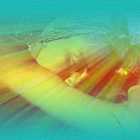 Varför gassar solen?