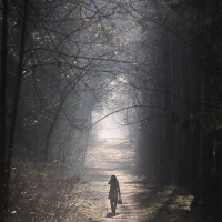 Du är något på spåren! 