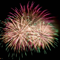 Vad hände 2016 ur ett språkligt perspektiv? Och Gott nytt språk!