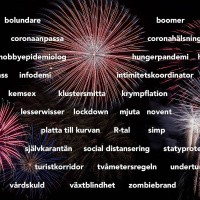 2020 – ett språkligt rekordår