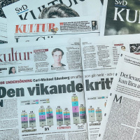 Kritiker kritiserad för kritik
